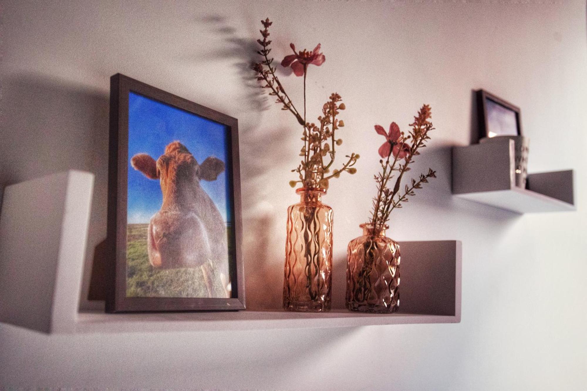 Huize Adriana Konuk evi Wolphaartsdijk Dış mekan fotoğraf